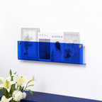 Blue wall-mounted acrylic magazine rack holding assorted magazines with flowers below.