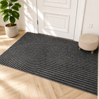 Gray striped area rug with curved line detailing on a light wood floor by a white door.