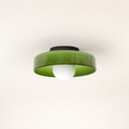 Glossy green ceiling light with a white globe bulb and black mount on a plain background.