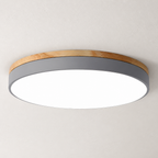 Round ceiling light with gray side band, wood trim, and bright white diffuser.