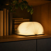 Glowing open book lamp with fan-shaped pages on a warm bookshelf.