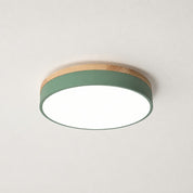 Round ceiling light with wood trim, sage green side band, and glowing white diffuser.