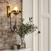 Brass wall sconce with a clear glass globe and glowing bulb beside a plant on a brick wall.