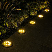 Warm round ground lights illuminate a dark garden path beside ornamental grass.