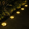 Warm round ground lights illuminate a dark garden path beside ornamental grass.