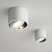 Two white adjustable cylindrical ceiling spotlights with warm glowing recessed bulbs.