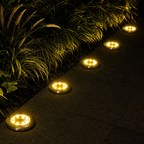 Warm round ground lights illuminate a dark garden path beside ornamental grass.