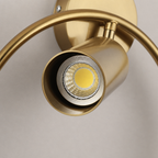Brushed gold adjustable spotlight with circular wall mount and exposed LED bulb.